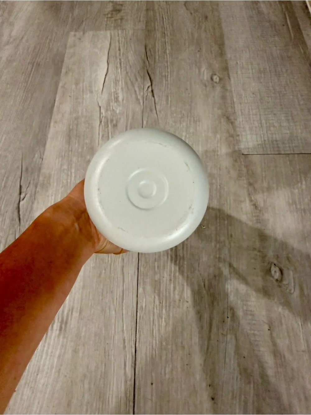 Lululemon“Back to Life” Light Gray Stainless Water Bottle